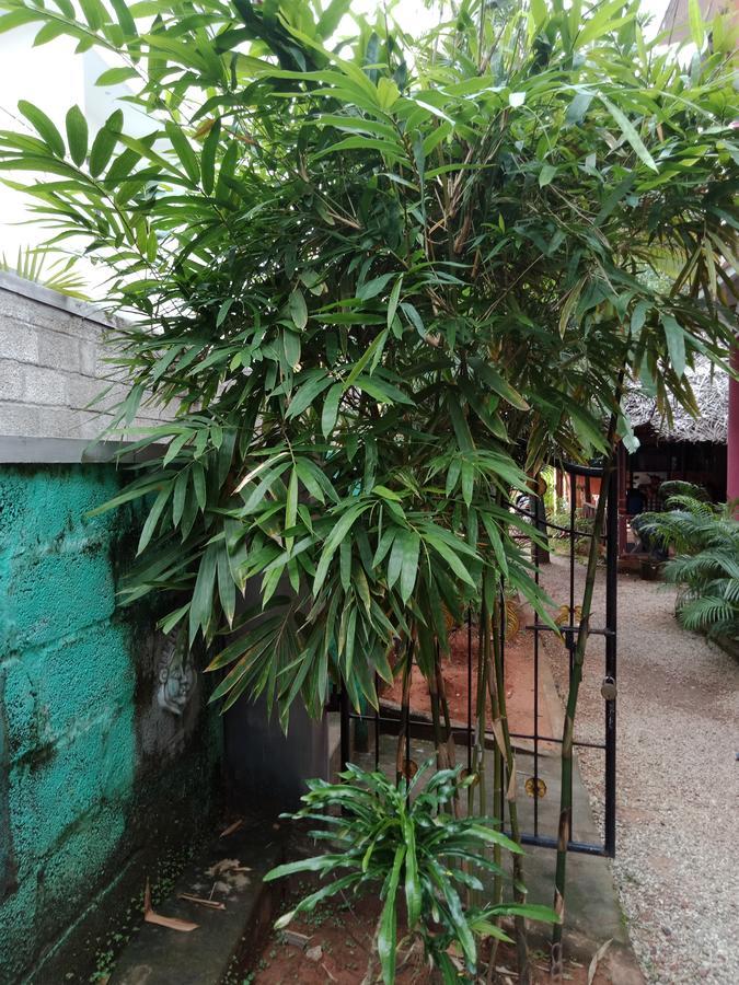 Mango Palace Hotel Varkala Zewnętrze zdjęcie